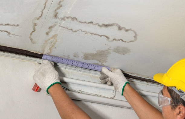 Reliable Mold Remediation contractor in Galesburg, MI by Water Damage Irwin